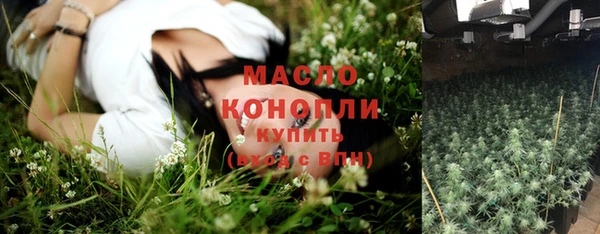 дурь Няндома