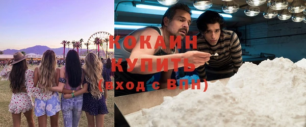 дурь Няндома
