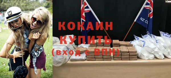 дурь Няндома