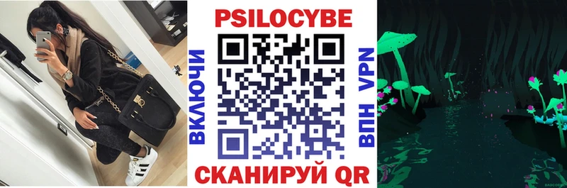 Псилоцибиновые грибы мицелий  Калининград 